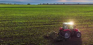 Fertilizer Image 2